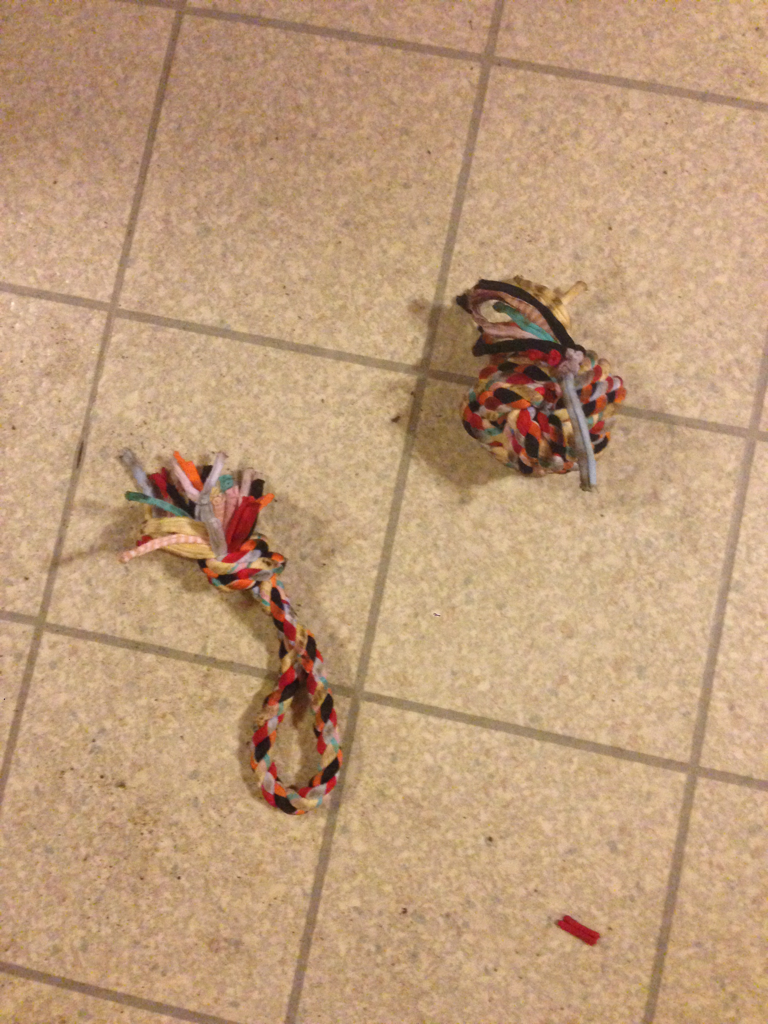 dog ate rope toy